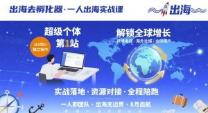 出海去孵化器，一人出海实战课，​超级个体第1站，解锁全球增长-Code_Architect