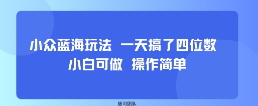 小众蓝海玩法 一天搞了四位数 小白可做 操作简单-Code_Architect