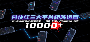 抖快红三大平台矩阵运营，12小时SOP实战+流量获取-风控-扩量，月引10000+线索-Code_Architect