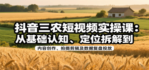 抖音三农短视频实操课：从基础认知、定位拆解到内容创作、拍摄剪辑及数据复盘投放-Code_Architect